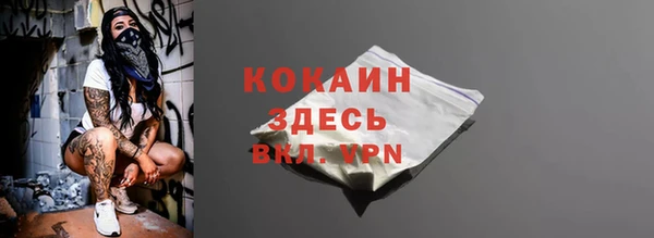шишки Баксан