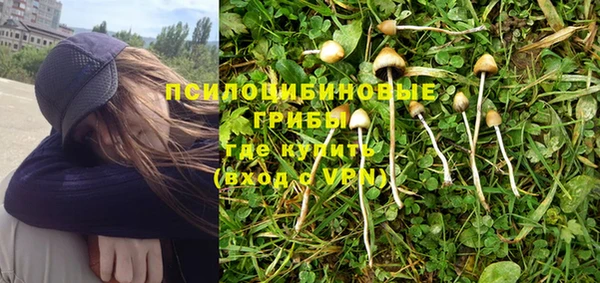 шишки Баксан
