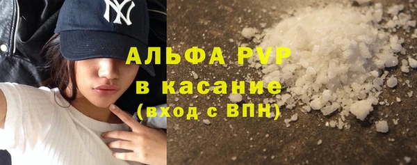 шишки Баксан