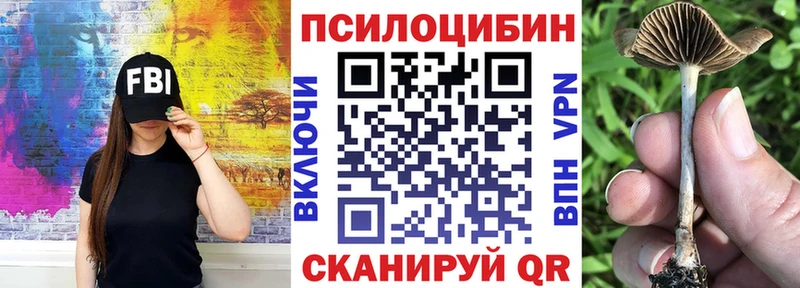 Галлюциногенные грибы Psilocybine cubensis Северо-Курильск
